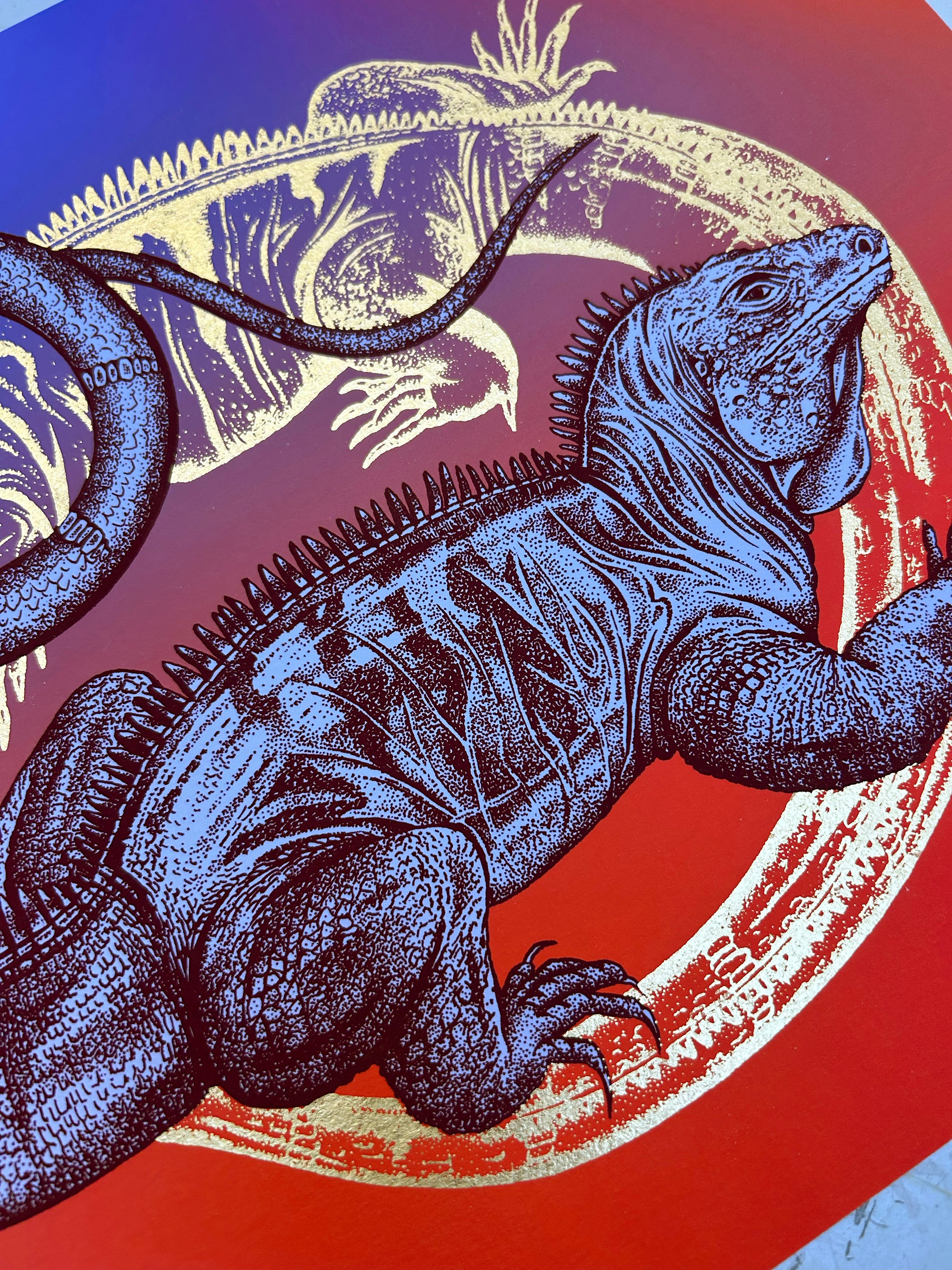 BLUE IGUANA - SUNSHINE