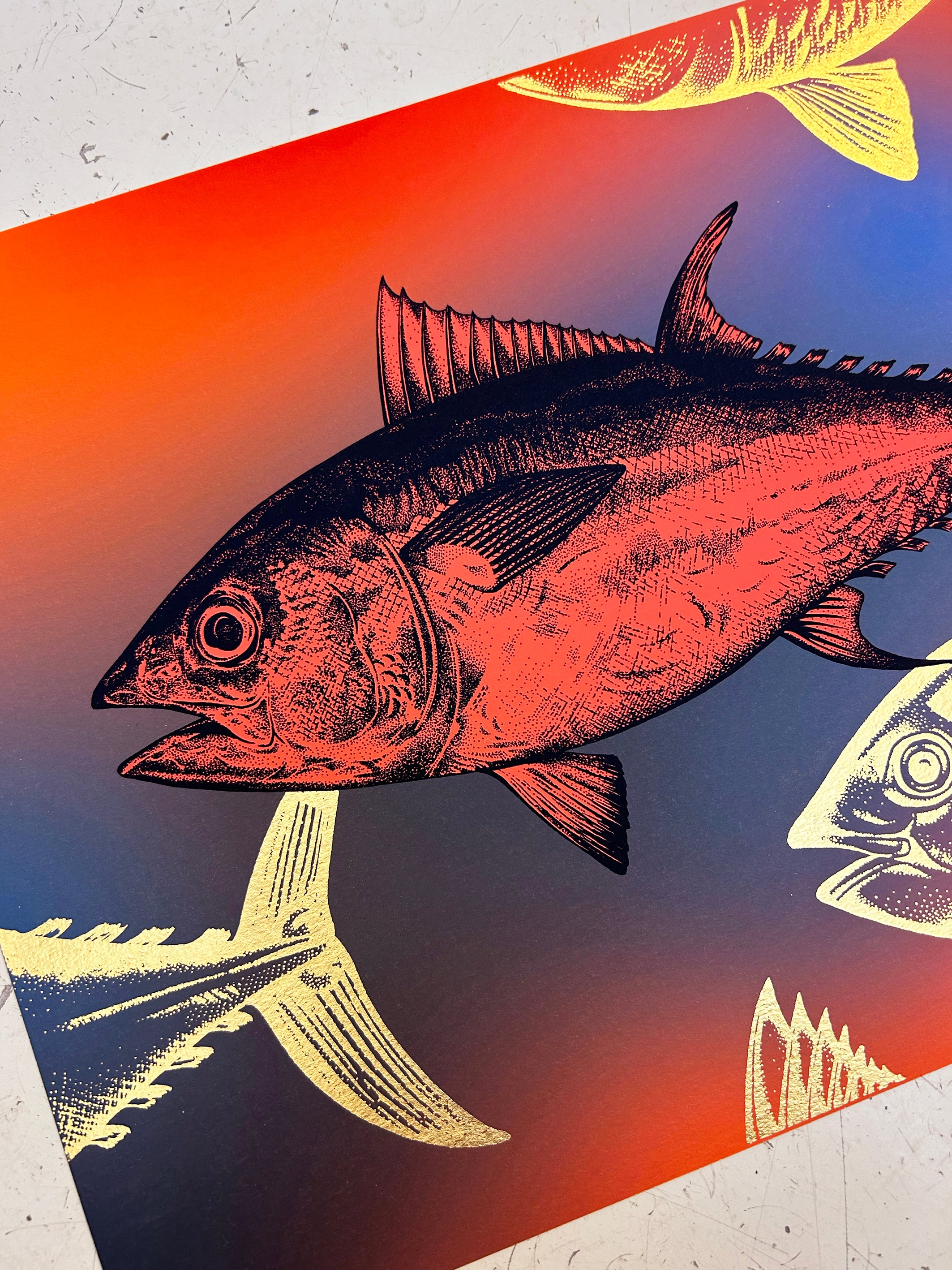 BLUEFIN TUNA - DUSK