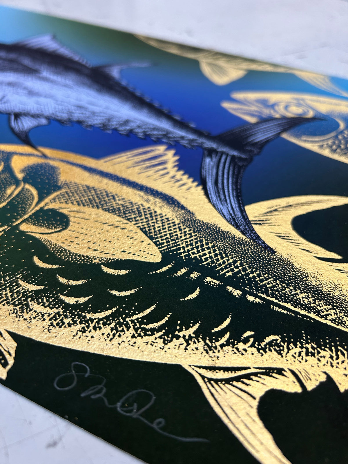 Bluefijn BLUEFIN TUNA - OCEAN – Gung Ho London
