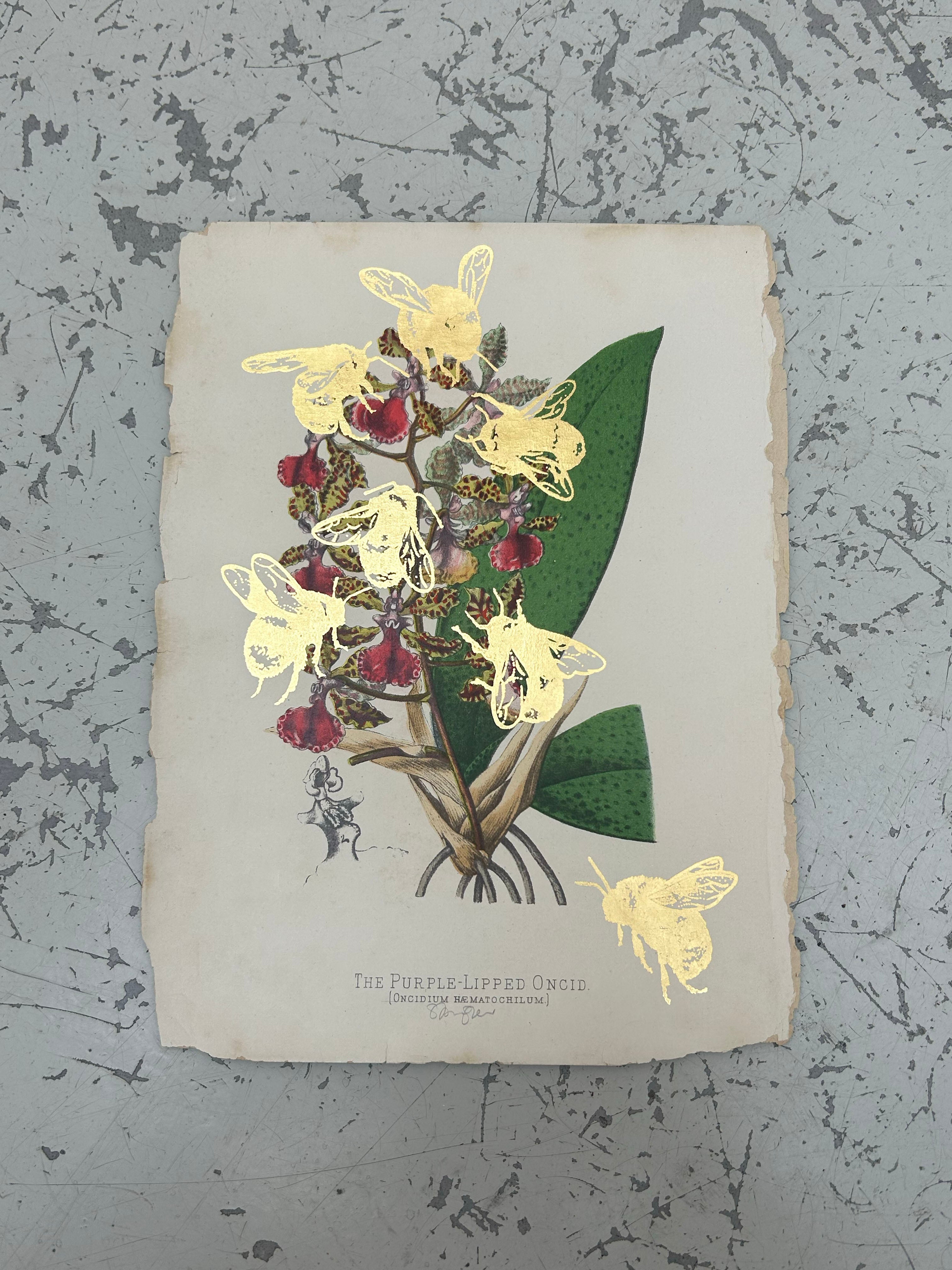 MORE BEES PLEASE (DROP 2) #12