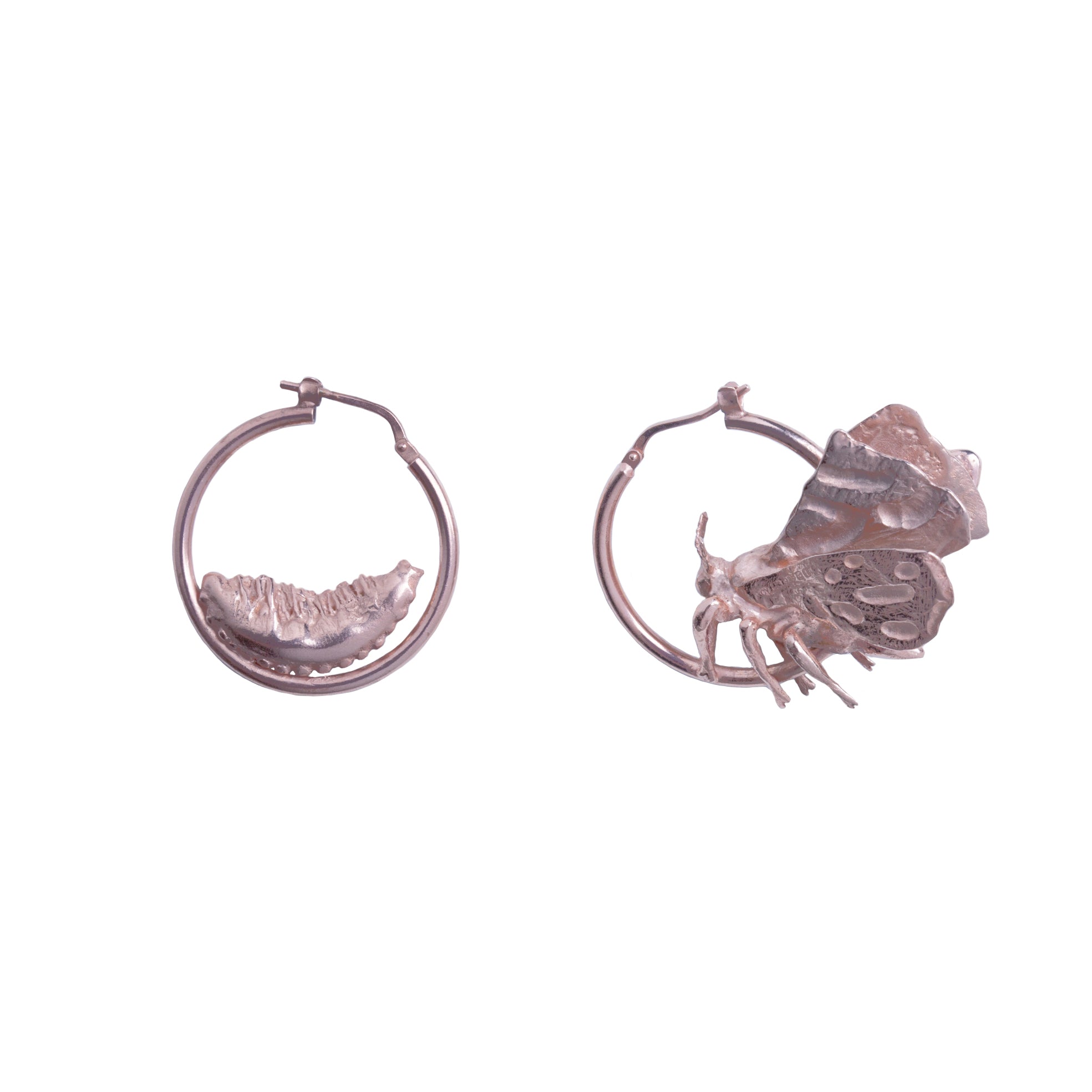Millie Hoops